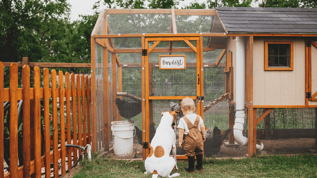 adorable chicken coop