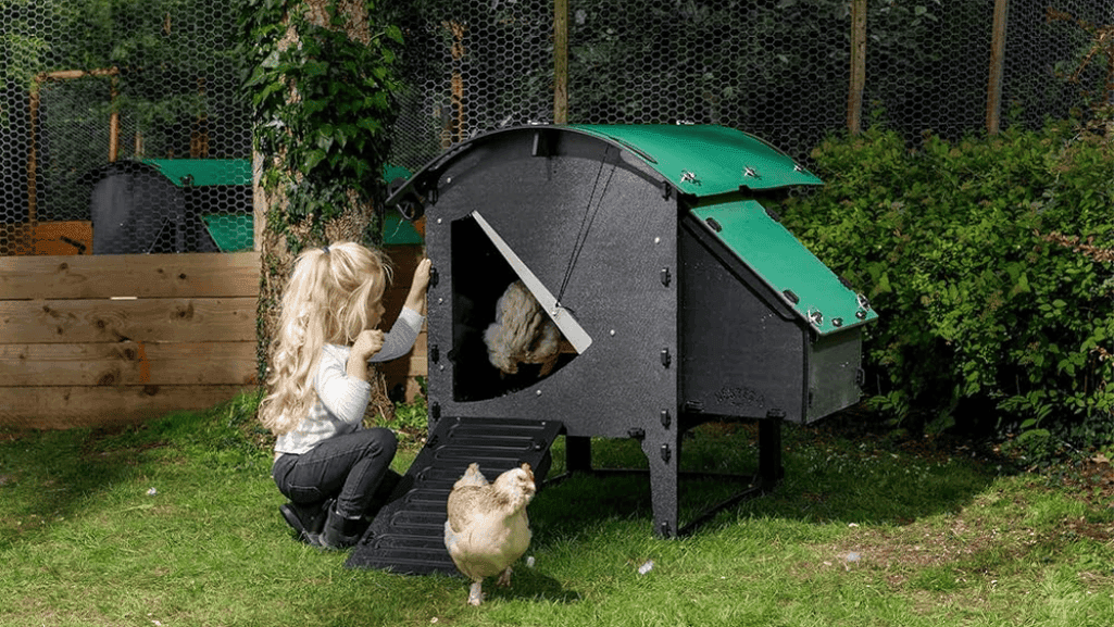 budget-friendly chicken coop