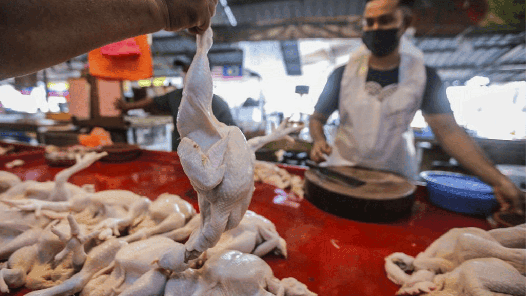 seasonal chicken pricing trends