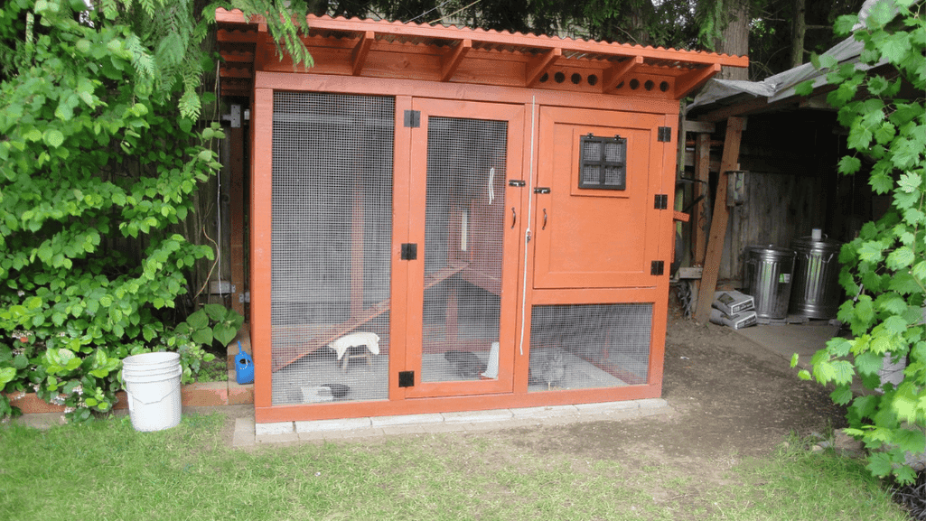 urban chicken coop
