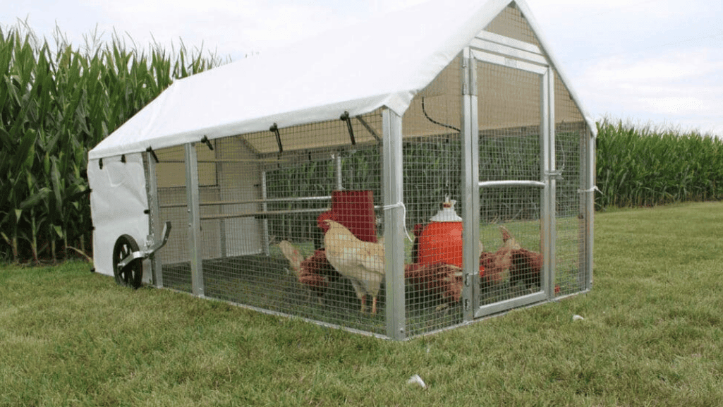 aluminum vs wooden poultry housing
