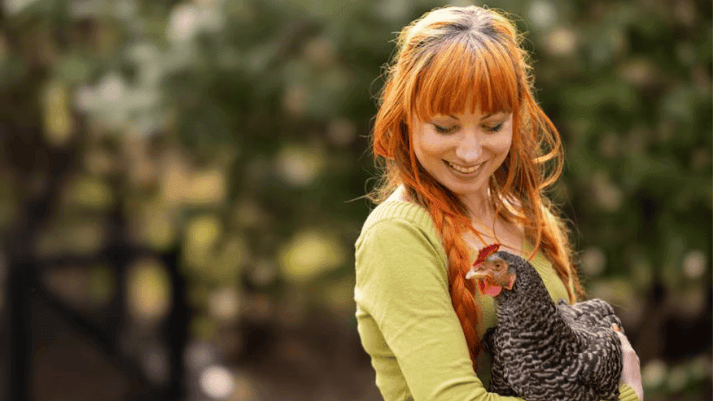 daily chicken care essentials