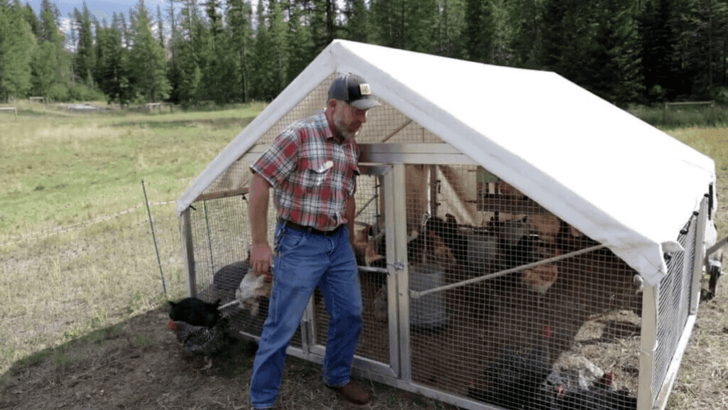 mobile chicken coop features and Transportable Chicken Coop