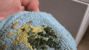 Green Poop in Chickens