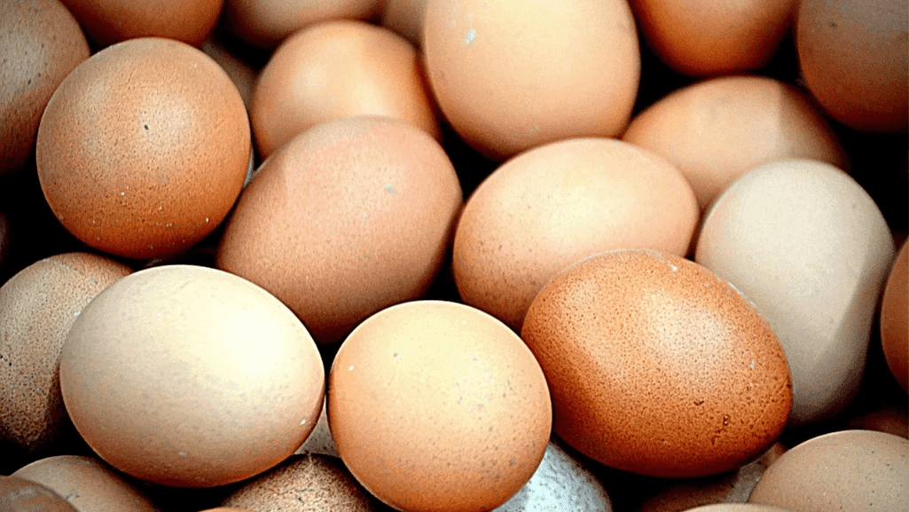 egg production factors