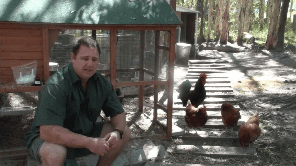 ivermectin treatment for poultry
