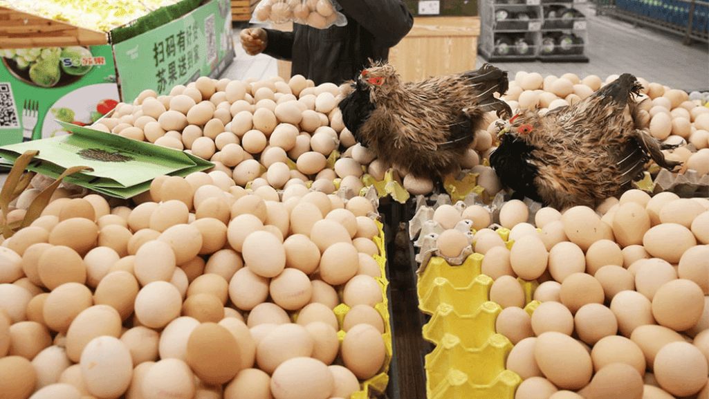 marketing chicken products