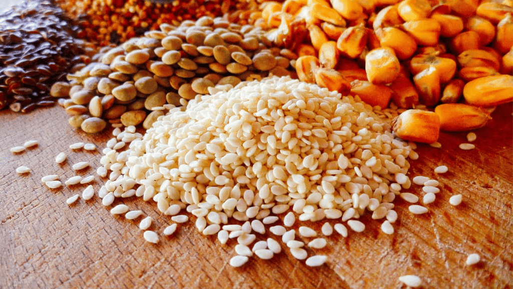 Do Chickens Need High Protein? Breaking Down the Requirements